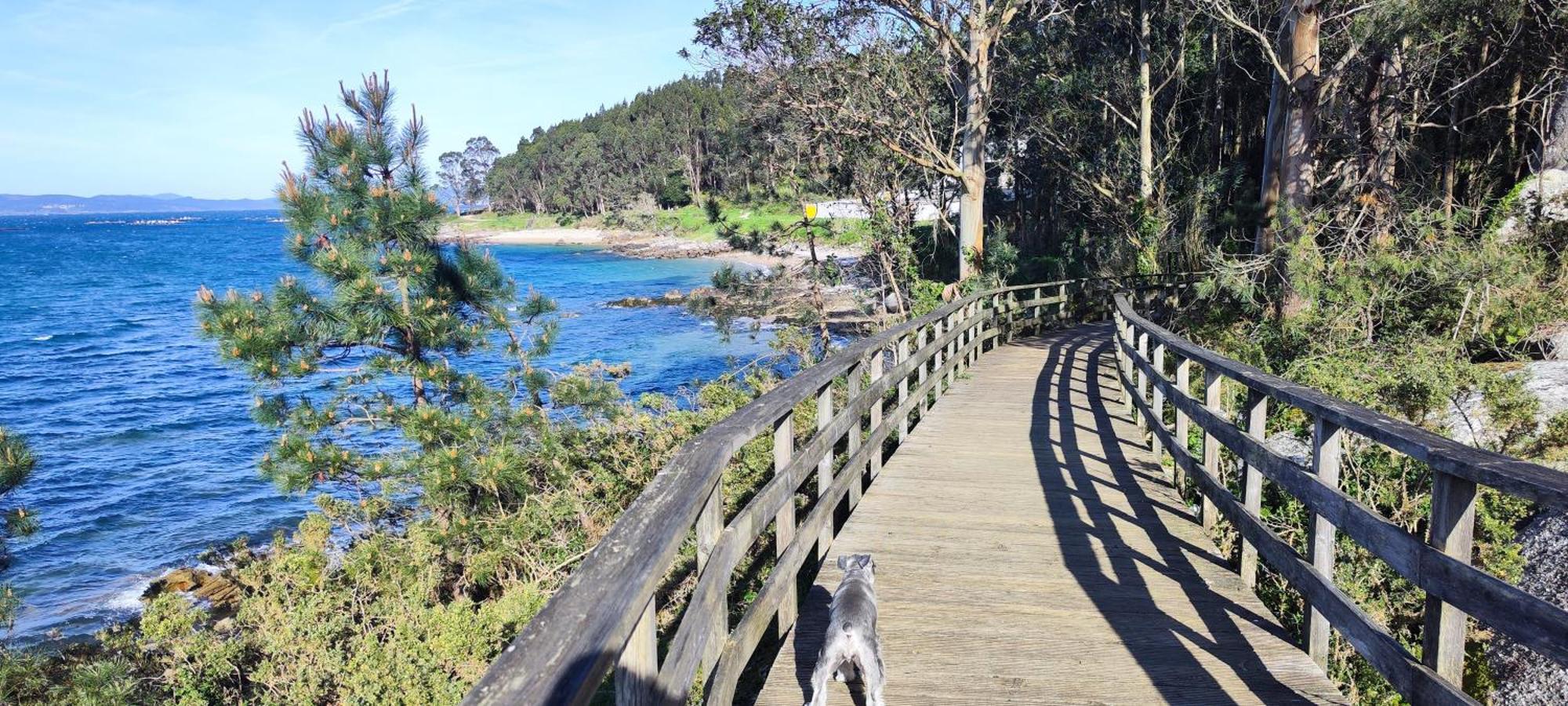 Apartamento El Rincon De Elia, Haz Realidad Tu Sueno De Vivir Con Vistas Al Mar Villanueva De Arosa Buitenkant foto